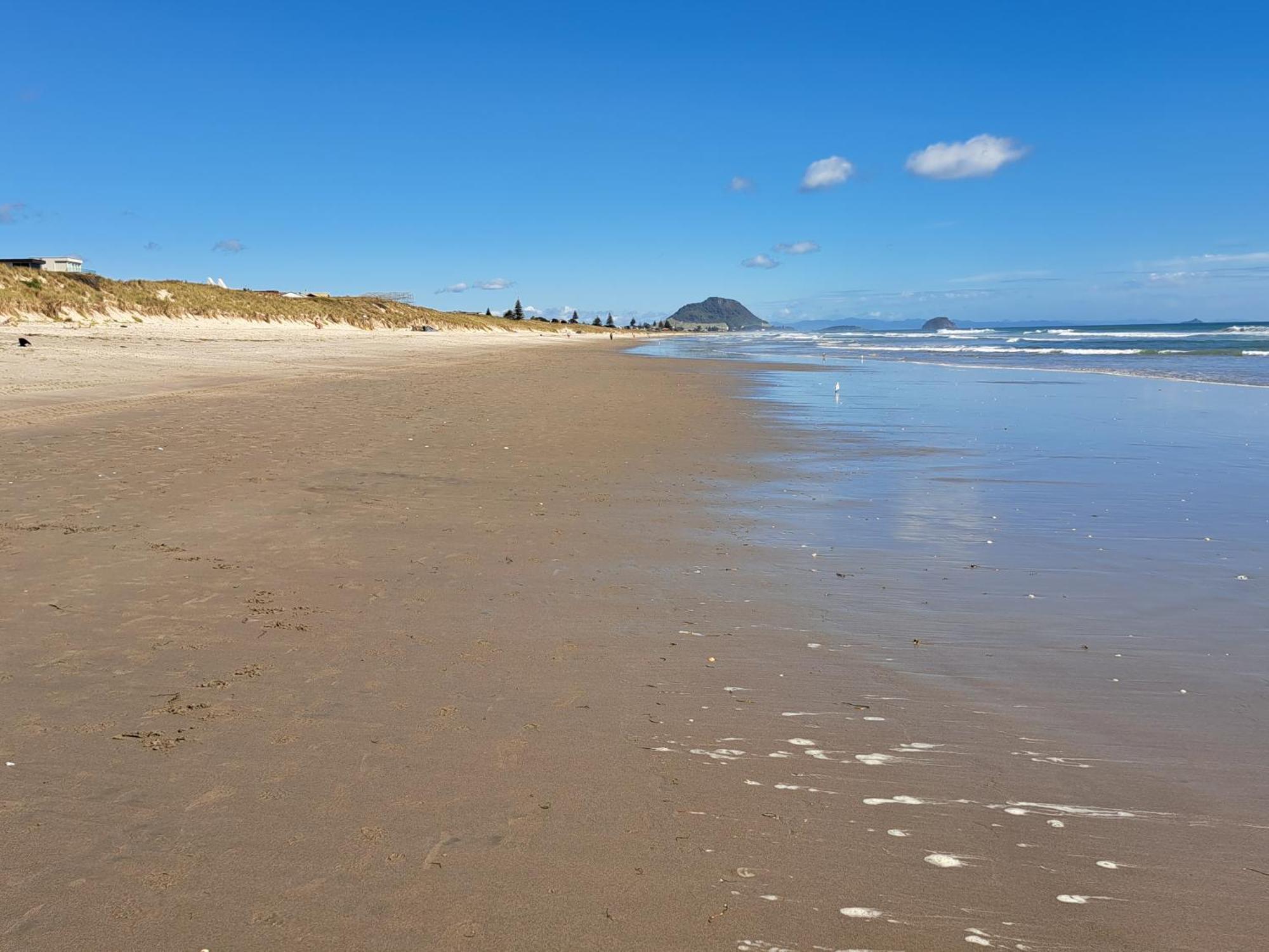 Sunbrae Beach Sanctuary Free High Fibre Wifi Mount Maunganui Eksteriør bilde